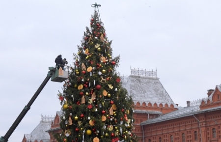 Лес из 130 новогодних елей установят на Манежной площади в центре Москвы