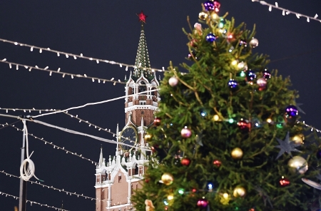 Главную новогоднюю елку страны нашли в Бородинском лесничестве