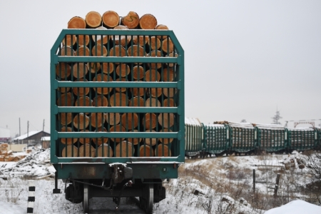 ФГК дает скидку на отправку лесных грузов в КНР из Приволжья, Вятки и Приуралья