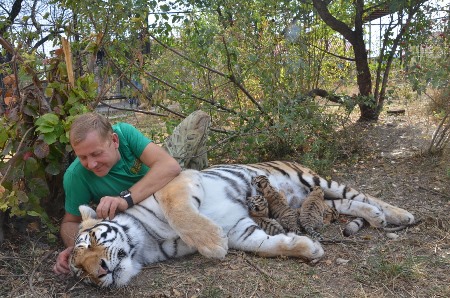 Суд отложил рассмотрение дела о приостановке работы парка львов "Тайган"
