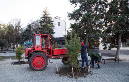 Власти Анапы инициировали работы по массовому озеленению города