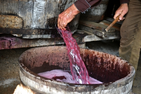 Гордеев против использования в виноделии импортного "разбодяженного" сырья