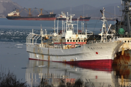 Очередное японское рыболовное судно задержано возле Южных Курил за неучтенную рыбопродукцию