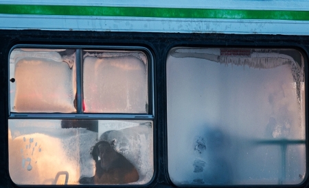 На Алтае эвакуировали заглохший на морозе монгольский автобус с 40 студентами