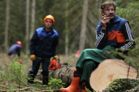 Рослесхоз: до 80% незаконных рубок леса в РФ приходится на Иркутскую область