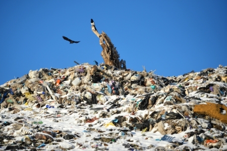 Восьмилетняя рекультивация мусорного полигона в Томской области стартует в этом году