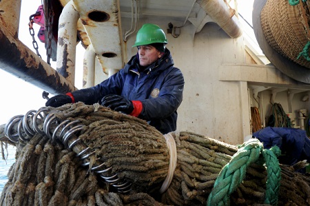 Исторический принцип распределения квот на вылов рыбы в РФ могут заменить аукционами