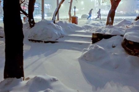 Запасы снега в Алтайском крае могут спровоцировать обильный паводок