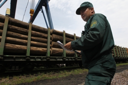 Объемы экспорта леса и пиломатериалов с Дальнего Востока снизились в январе-феврале из-за коронавируса