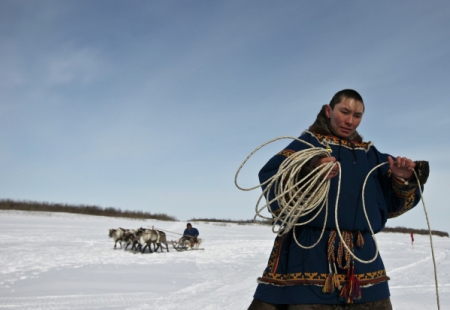Оленеводов на Ямале, где введен режим самоизоляции, просят воздержаться от посещения поселков