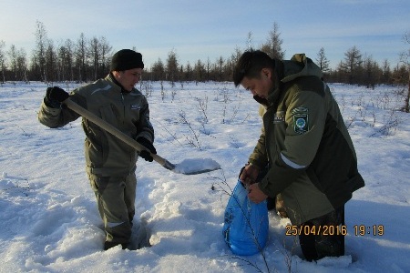 Фотографии пресс-службы министерства охраны природы Якутии