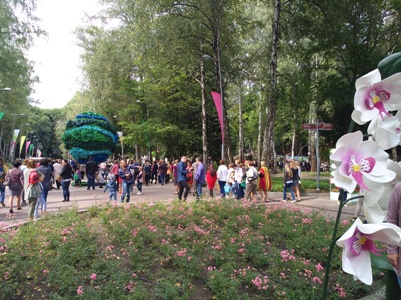 Международный фестиваль садов и цветов в Воронеже собрал 220 тыс. посетителей