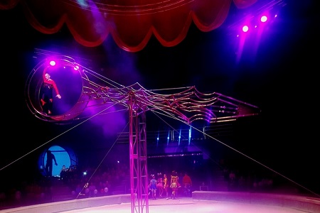 Первое представление состоялось в обновленном Владивостокском цирке