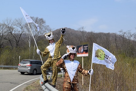 Волонтеры высадили шесть тысяч саженцев кедра в приморском нацпарке "Земля леопарда"