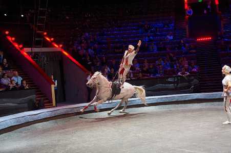 Цирк на Фонтанке представит новую программу по мотивам известного фильма "Приключения итальянцев в России"