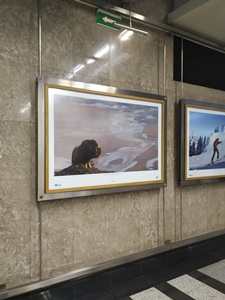 Фотовыставка "Неповторимый Дальний Восток" открылась в галерее "Метро"