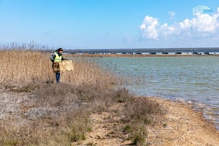 Экологи установили гнездовья для птиц рядом с мостом через Керченский пролив