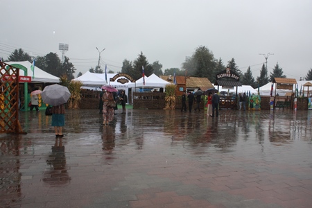 День государственности Кабардино-Балкарии отпраздновали под дождем