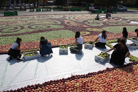 Гигантское панно из яблок выложили на гастрономическом фестивале в Нальчике