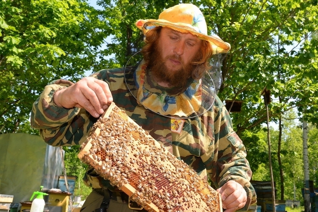 Пчеловод из Хабаровского края, который открыл свое дело на "дальневосточном гектаре", выходит на международный рынок