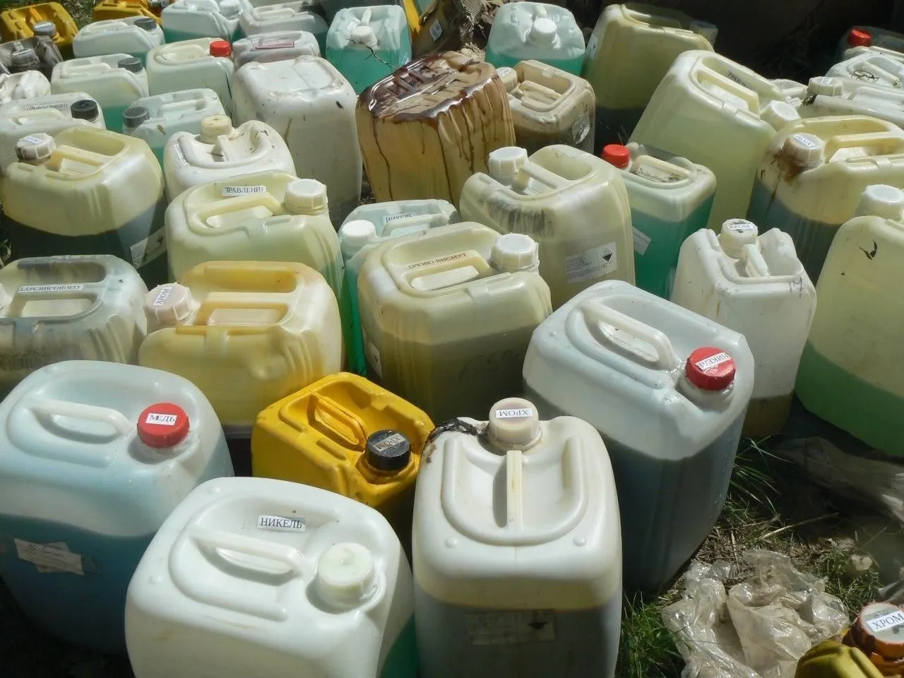 Фото пресс-службы министерства природных ресурсов и экологии Саратовской области