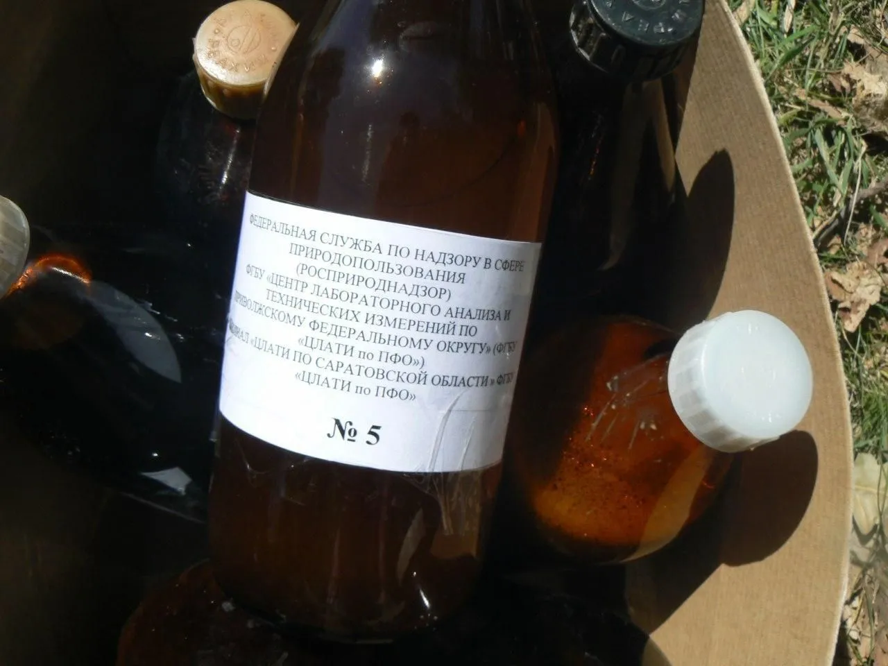 Фото пресс-службы министерства природных ресурсов и экологии Саратовской области