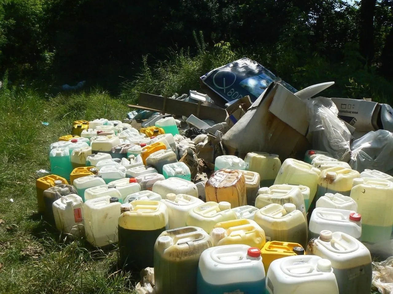 Фото пресс-службы министерства природных ресурсов и экологии Саратовской области