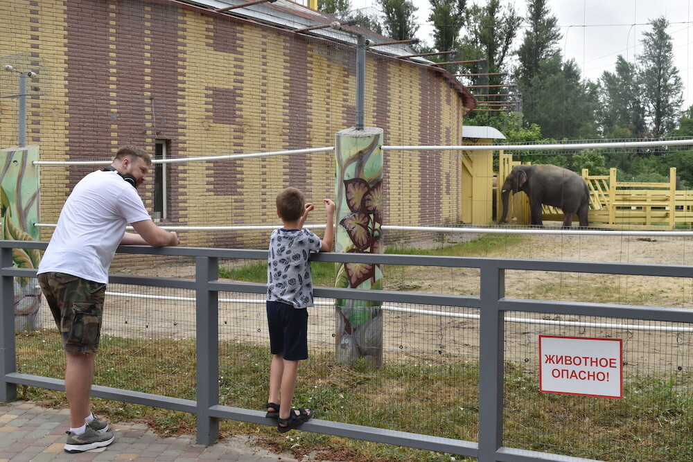 Около 6 тыс. гостей принял Ростовский зоопарк в день празднования своего 95-летия