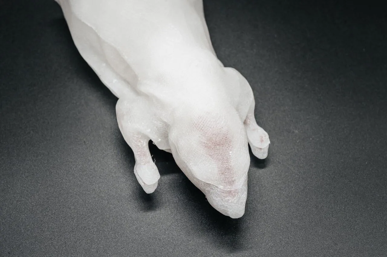 Томские ученые предлагают использовать в лабораториях 3D-модели животных вместо настоящих