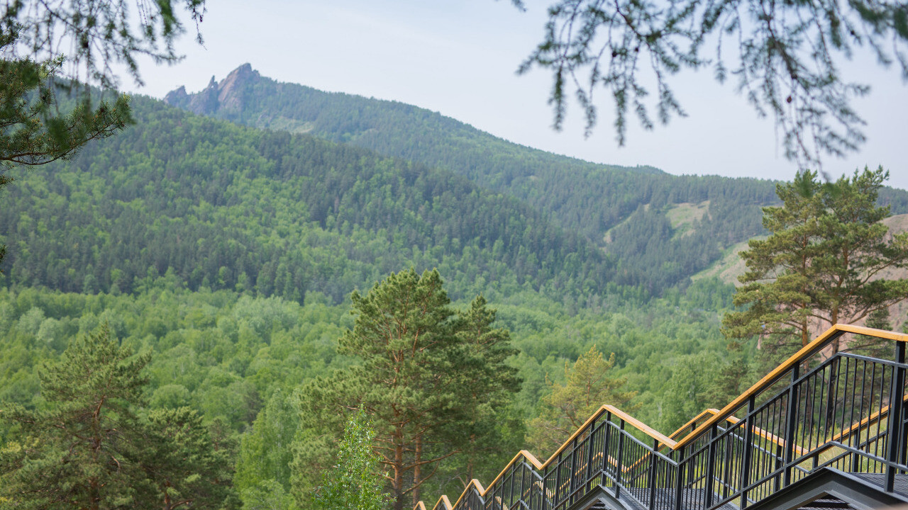 Лестницу на Торгашинский хребет в Красноярске - самую длинную в России - оборудовали табличками с количеством пройденных ступеней