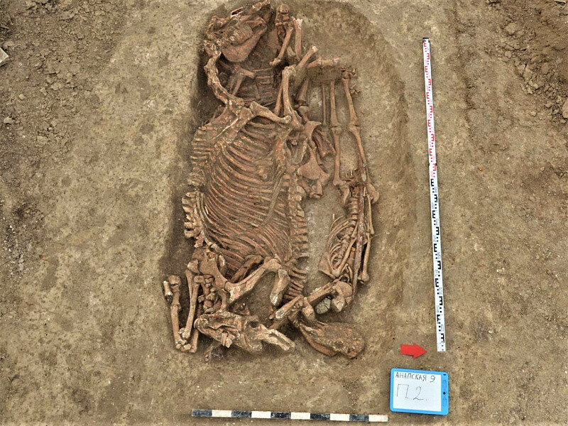 Античный могильник возрастом 2 тыс. лет обнаружен в ходе стройки под Анапой