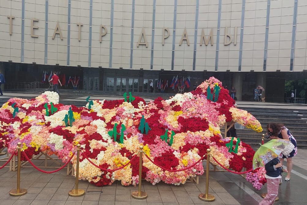 Карту страны из 30 тыс. роз собрали в Краснодаре в День России
