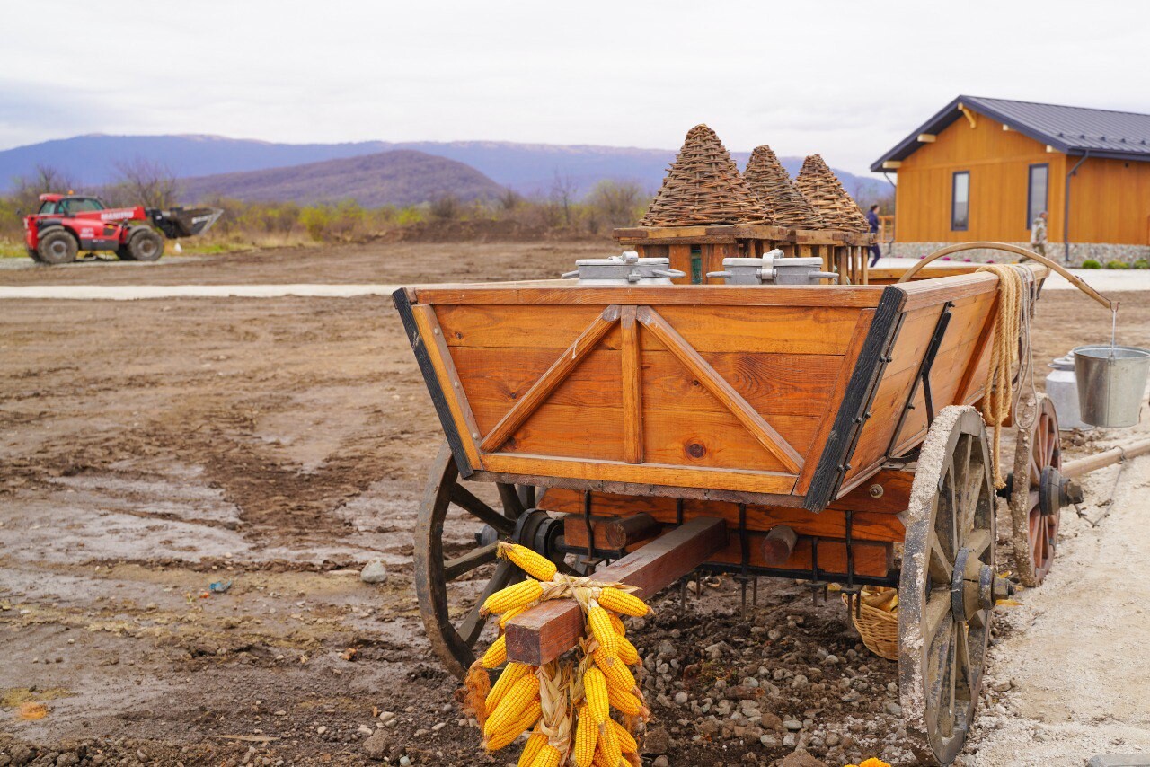 Грантовая поддержка сельского хозяйства. Автор фото: пресс-служба главы Северной Осетии