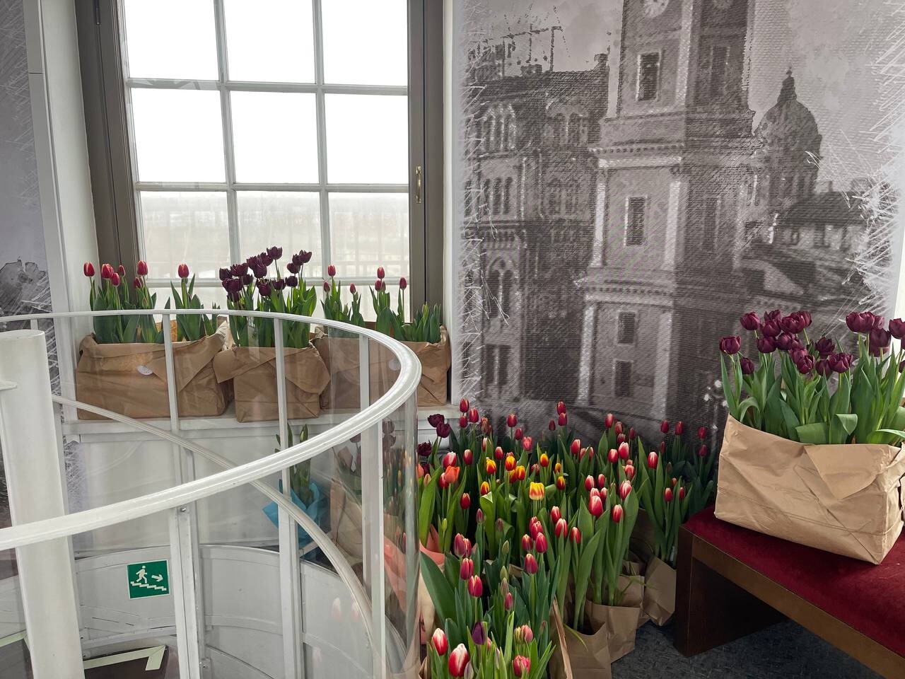 Пять тысяч тюльпанов украсили Думскую башню в Петербурге