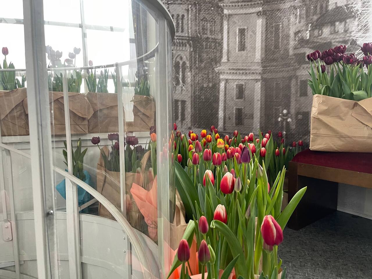 Пять тысяч тюльпанов украсили Думскую башню в Петербурге