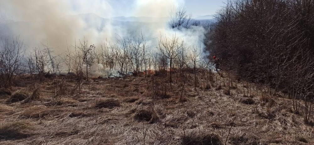 Количество природных пожаров на Кубани за два месяца выросло на 13%. © Фото: пресс-служба ГКУ «Кубань-СПАС»