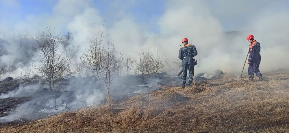 Из-за сухой и теплой погоды растет число природных пожаров. © Фото: пресс-служба ГКУ «Кубань-СПАС»