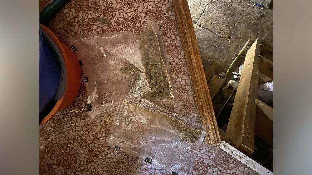 Полицейские нашли в доме жителя Астрахани схрон с оружием и наркоплантацию. © Фото: пресс-служба УМВД России по Астраханской области