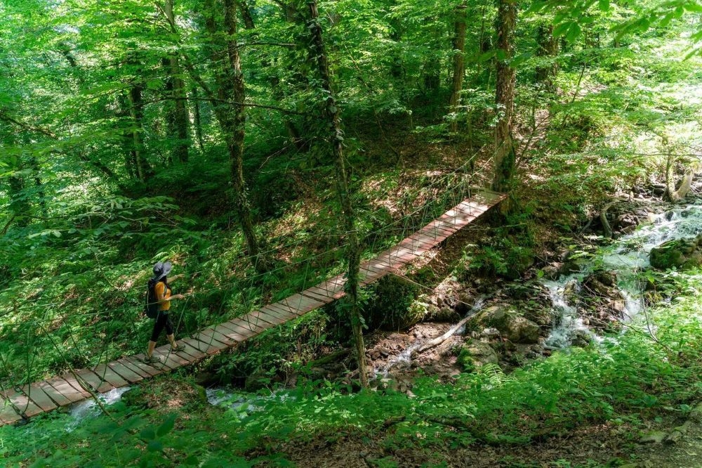 Новые экотропы открывают в горах Сочи. © Фото: пресс-служба курорта «Красная Поляна»