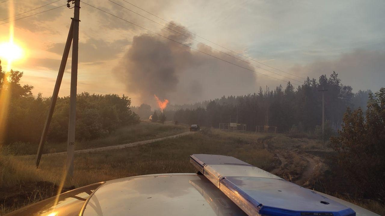 Лесной пожар в Воронежской области добрался до молочной фермы - погибли телята