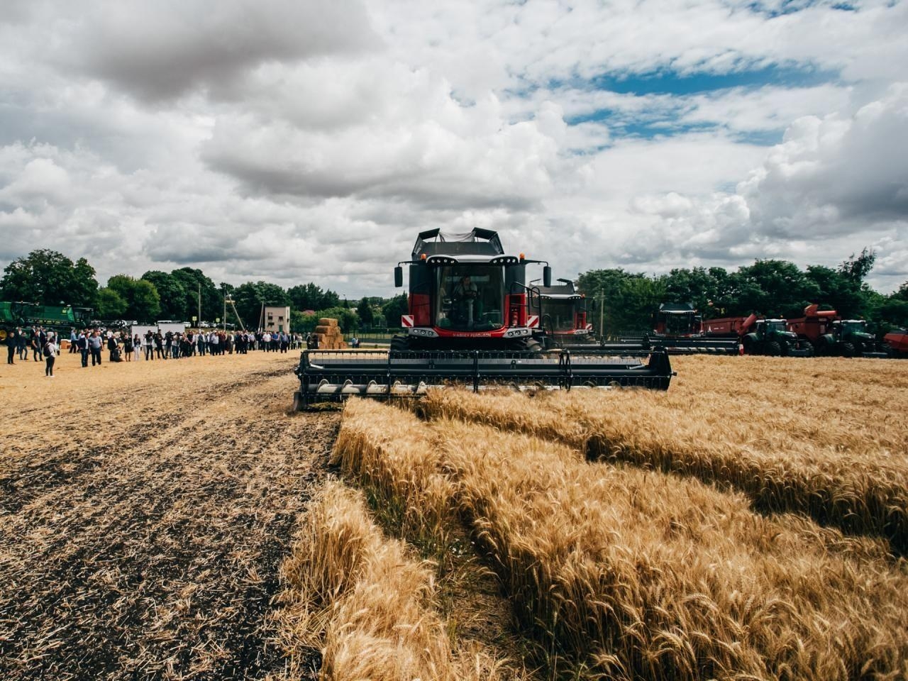 Аграрии Курской области в 2020г планируют собрать более 5 млн т зерна