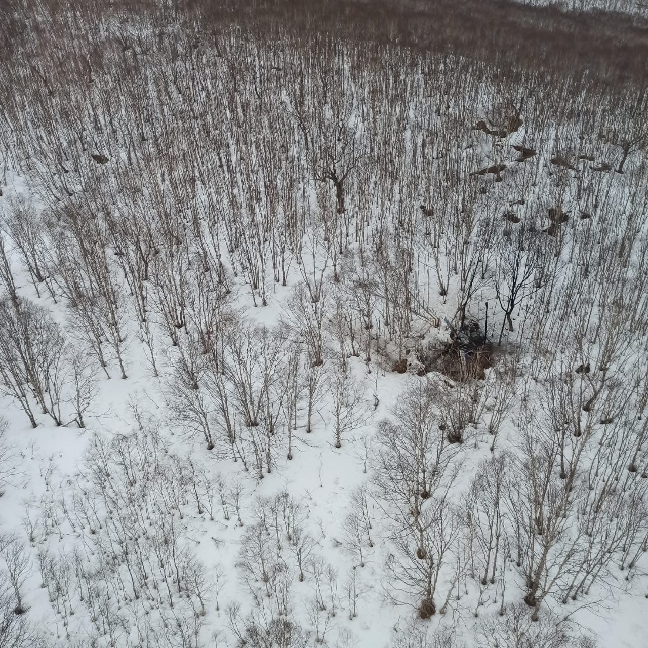 Спасатели обнаружили вероятное место крушения  Ми-2 на Камчатке