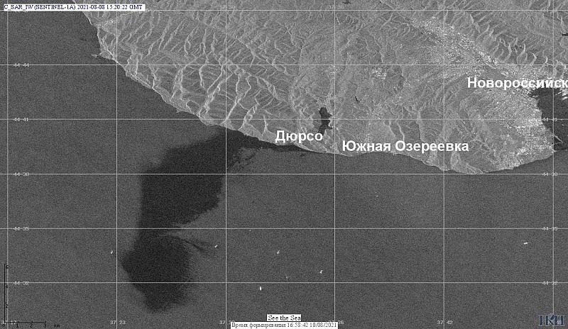 Площадь разлива нефти в море под Новороссийском была занижена в сотни тысяч раз
