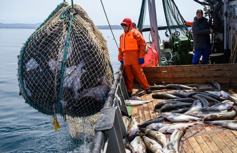 Содержащую мышьяк рыбу нельзя поставлять в Россию, а экспорт затрудняют санкции. Фото