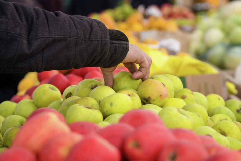 Эксперт рассказала, как выбирать яблоки в магазине. Фото