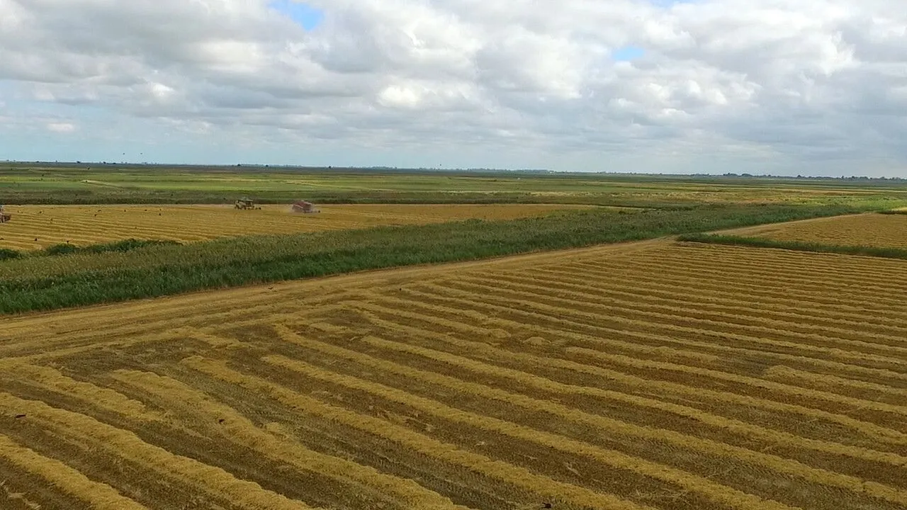 Сельский туризм в Дагестане вошел в основное направление господдержки. Фото
