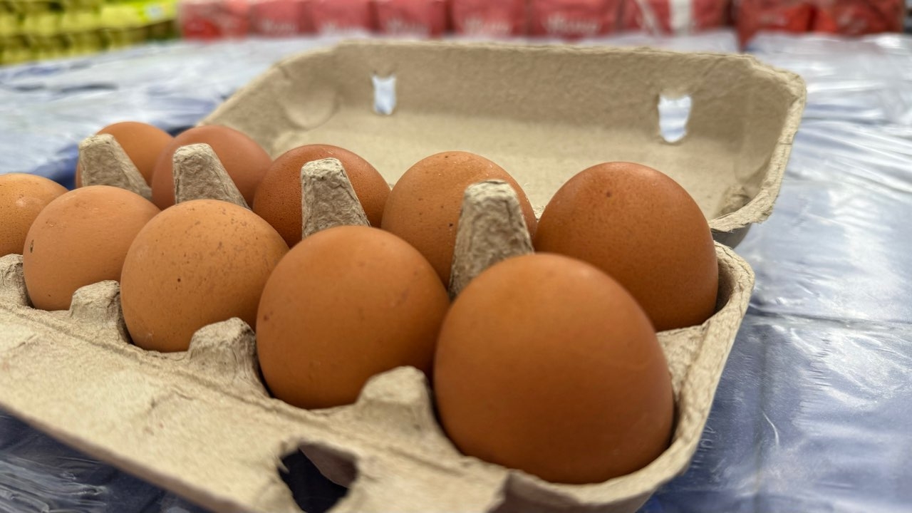 В фермерских яйцах содержится больше холина, но часто они не проходят тщательный контроль перед продажей. Фото