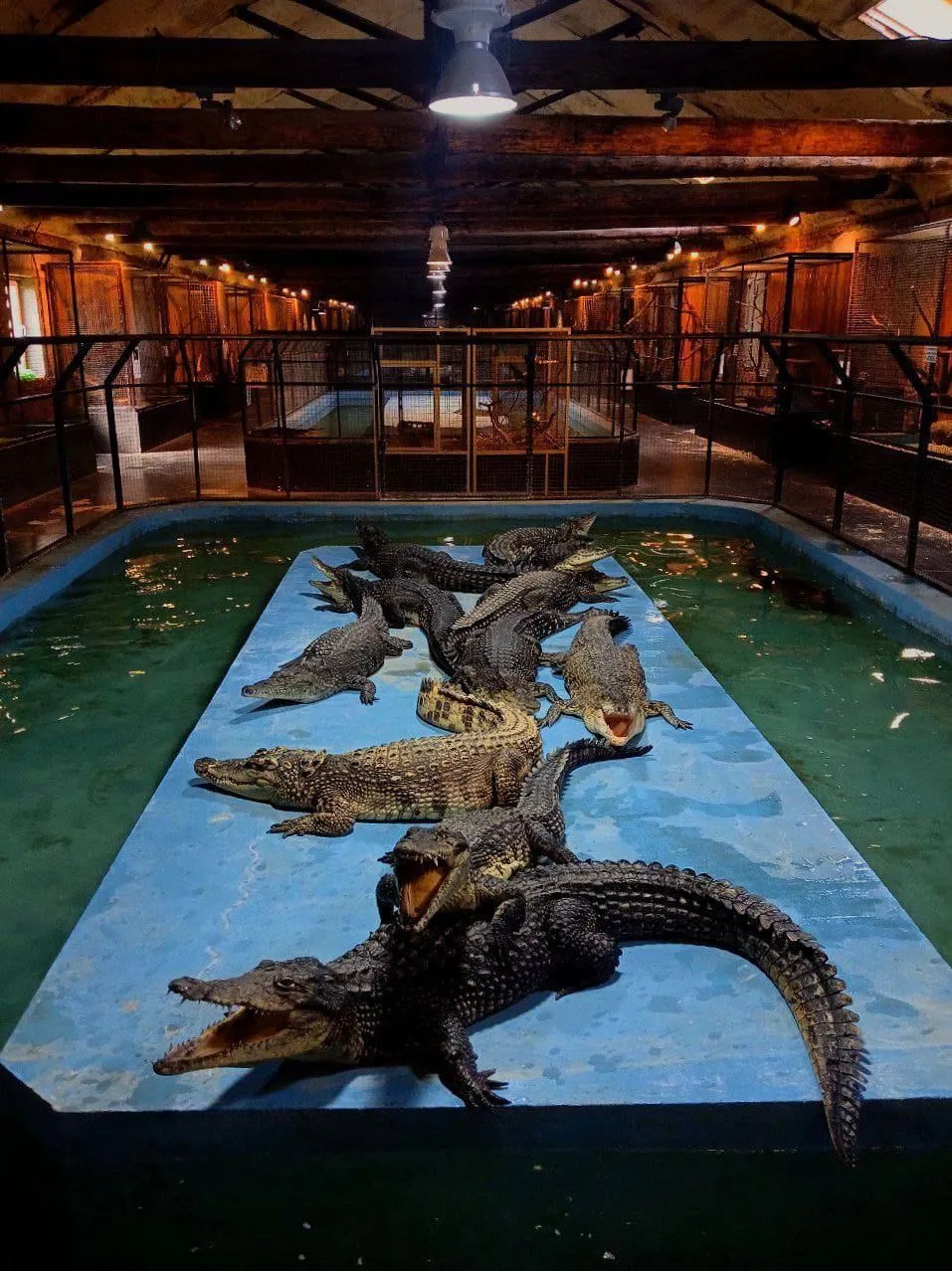 Фермы в Московской области: где провести выходные