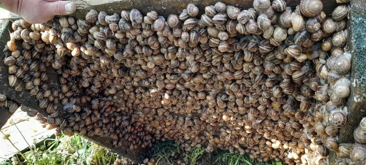 Фермы в Московской области: где провести выходные