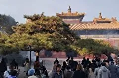 Турпоток в Китай может вырасти на 30-40% после отмены виз